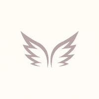 celaineconcepts butterfly colourful celaineconcepts GIF