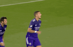 Celebrate Lets Go GIF by Major League Soccer