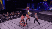 Aew GIF by ALL ELITE WRESTLING