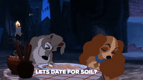 Lady And The Tramp Love GIF by Save Soil