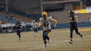 Bison Ndsu Football GIF by NDSU Athletics