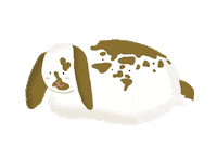 Tired Rabbit Sticker by Bunny Lovers