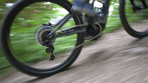GIF by Tirol