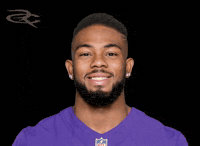 Baltimore Ravens GIF by Respective