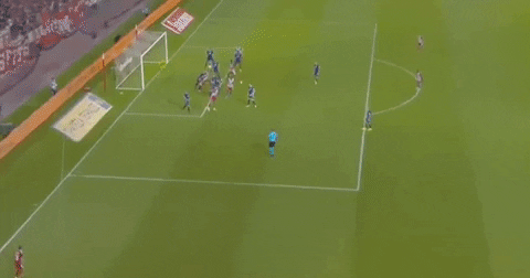pjotrgrabowski giphyupload GIF