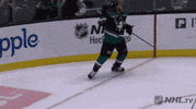 happy ice hockey GIF by NHL