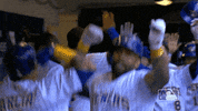 major league baseball sport GIF by MLB