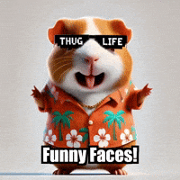 Faces Expressions GIF by Guinea Gambino