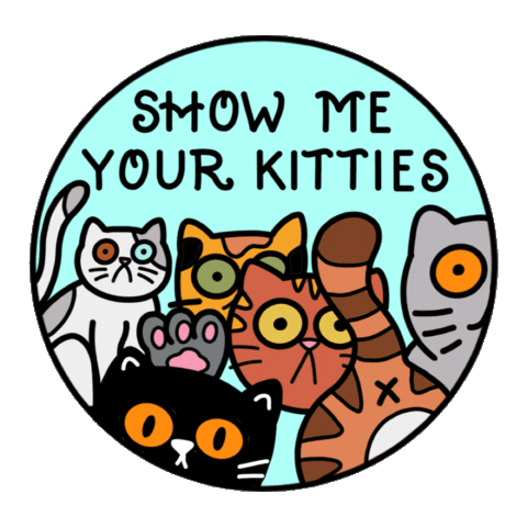 anythingjules giphyupload cat cats kitty Sticker