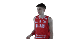 Basket_fi sports basketball hoops vikings Sticker