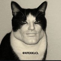 Cat Sigma GIF