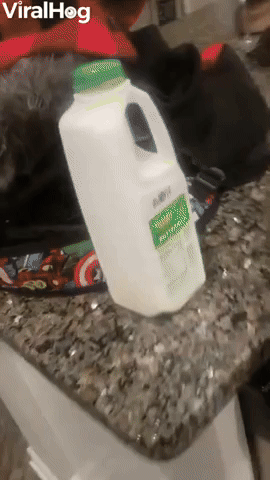 Kid Tries Buttermilk