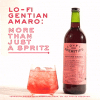 lofiaperitifs lofi spritz lo-fi amaro GIF