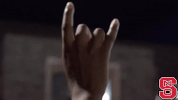 Nc State Wolfpack GIF by NC State Athletics