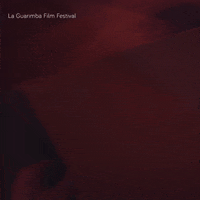 Delivery Spy GIF by La Guarimba Film Festival