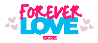 SAMSONITECHILE love amor corazon secret Sticker