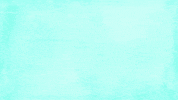 Congratulations Graduate GIF