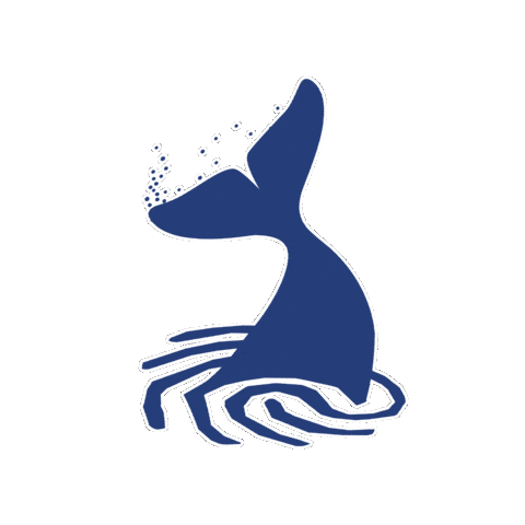 Travel Vacation Sticker by Cape Tracks