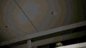 season 3 poker GIF by Showtime