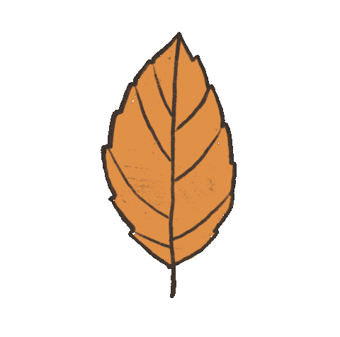 Fall Autumn Sticker by DECA Inc.