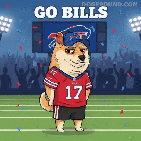 Shiba Inu Football GIF by Doge Pound