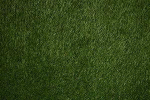 Happy In Bloom GIF by Linnea Bullion