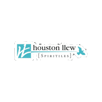Art Artist Sticker by Houston Llew