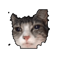 Tears Im Sad Sticker