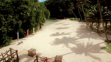 survivorau GIF by Australian Survivor