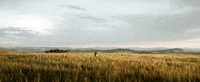 Italian Puppet GIF by Madman Films