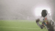 Soccer Celebrate GIF by Oakland Roots SC