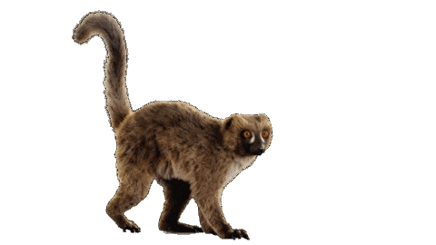 Maki Aida Sticker by AIDA_Cruises