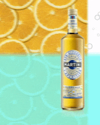 GIF by Martini