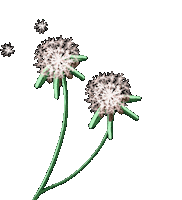 Flower Plant Sticker