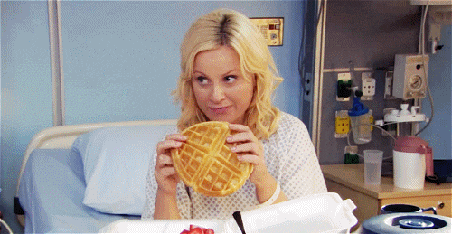 nomnom GIF