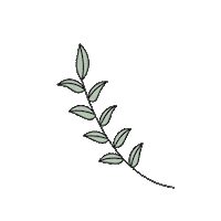 Flower Plants Sticker by Nanda Filtros