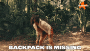 Jungle Missing GIF by Nickelodeon