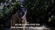 season 3 episode 18 GIF by Workaholics