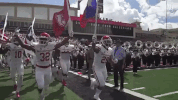 houston cougars flags GIF by Coogfans