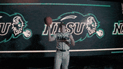 Ndsu Baseball GIF by NDSU Athletics