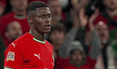 Wink Portugal GIF