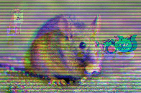 cghosh giphygifmaker giphyattribution GIF