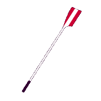 News Austria Sticker by Rowing.at