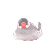 Birds Love Sticker