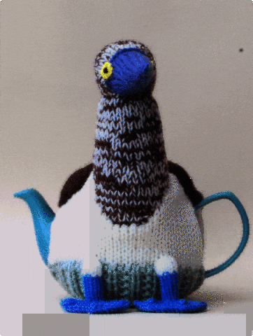 Sea Bird GIF by TeaCosyFolk