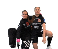 Floorball Salibandy Sticker by F-liiga