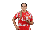 Women Euro Sticker by EHF