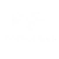 Vis24 Sticker by Vissersbond