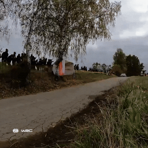 Toyota Yaris Motorsport GIF by FIA World Rally Championship
