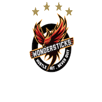 Yfa Sticker by Youth Floorball Academy